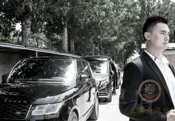 王牌盾保鏢護(hù)航家族財(cái)產(chǎn)分割：被隱形富豪雇傭的132天